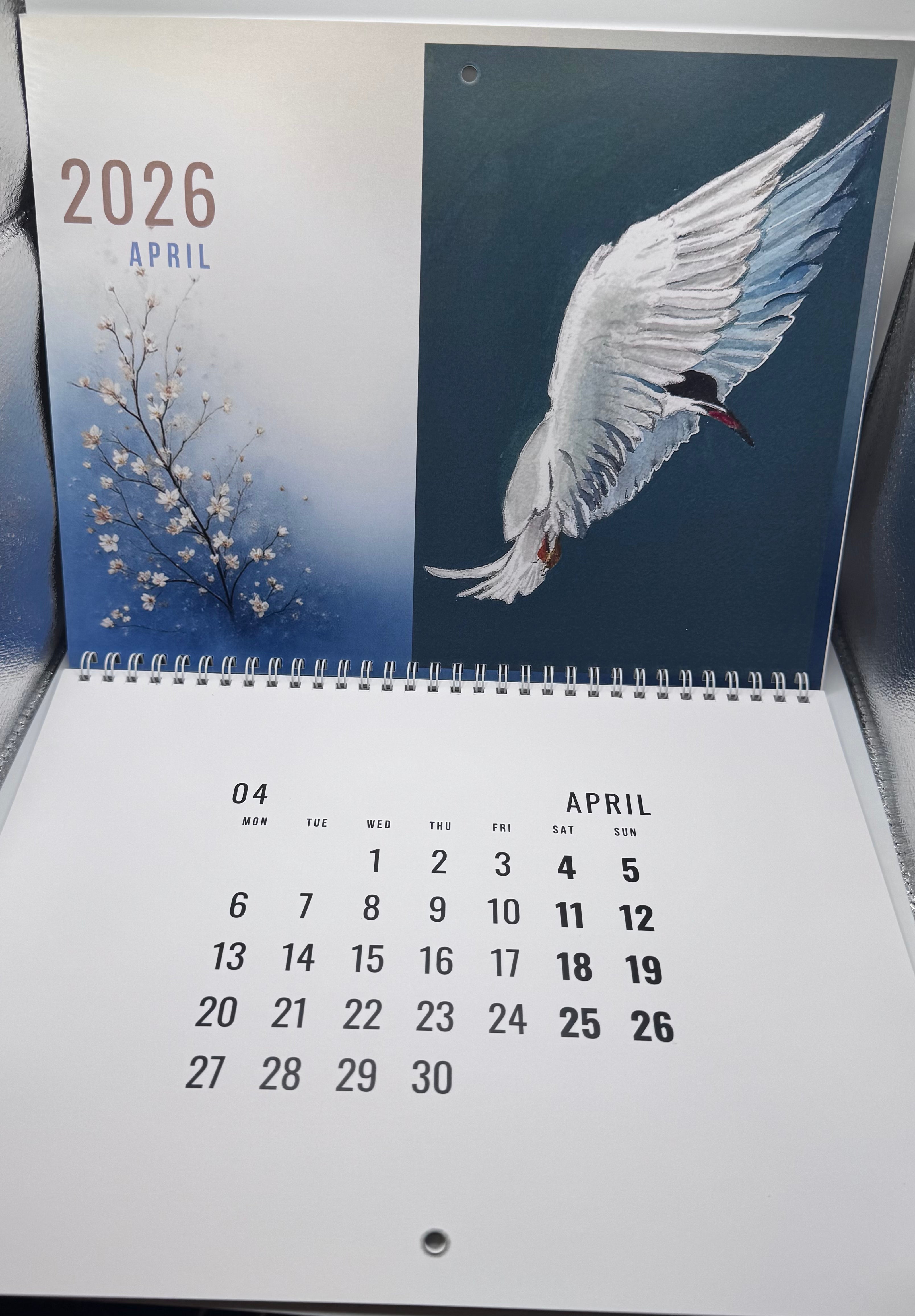 2026 Wall Calendar - Of Wings