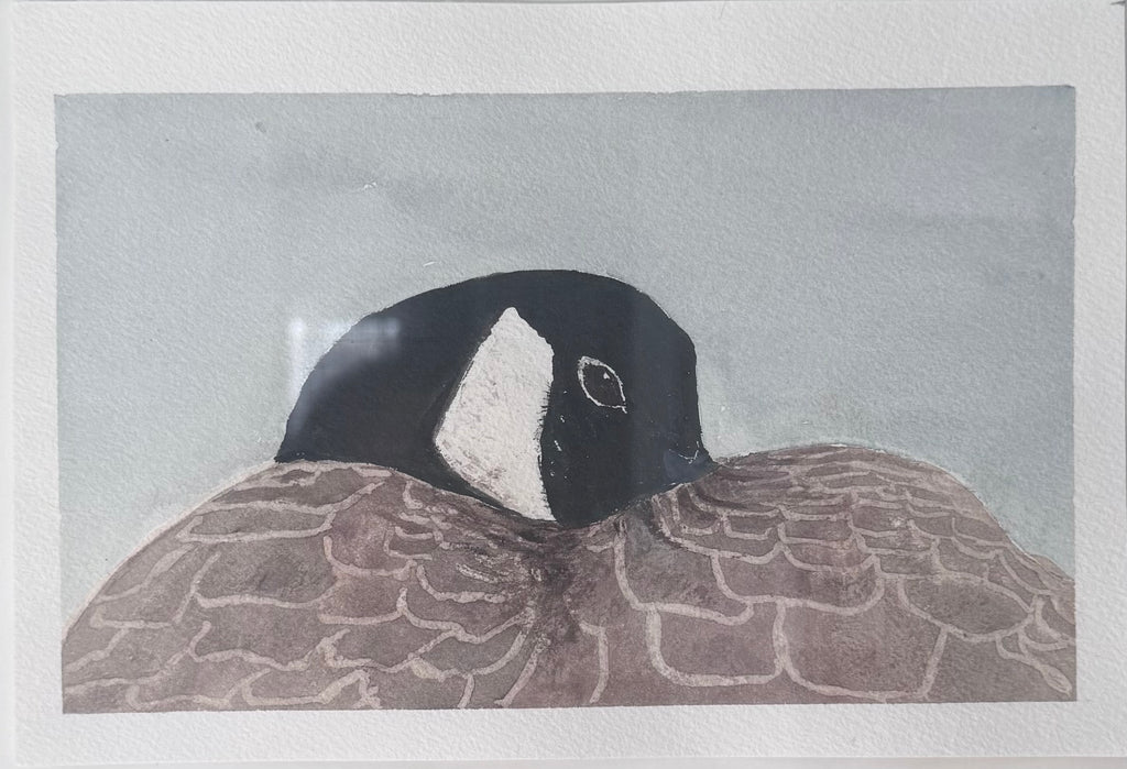 'Canada Goose At Rest' -Fine Art Watercolour Print (Framed or Unframed)
