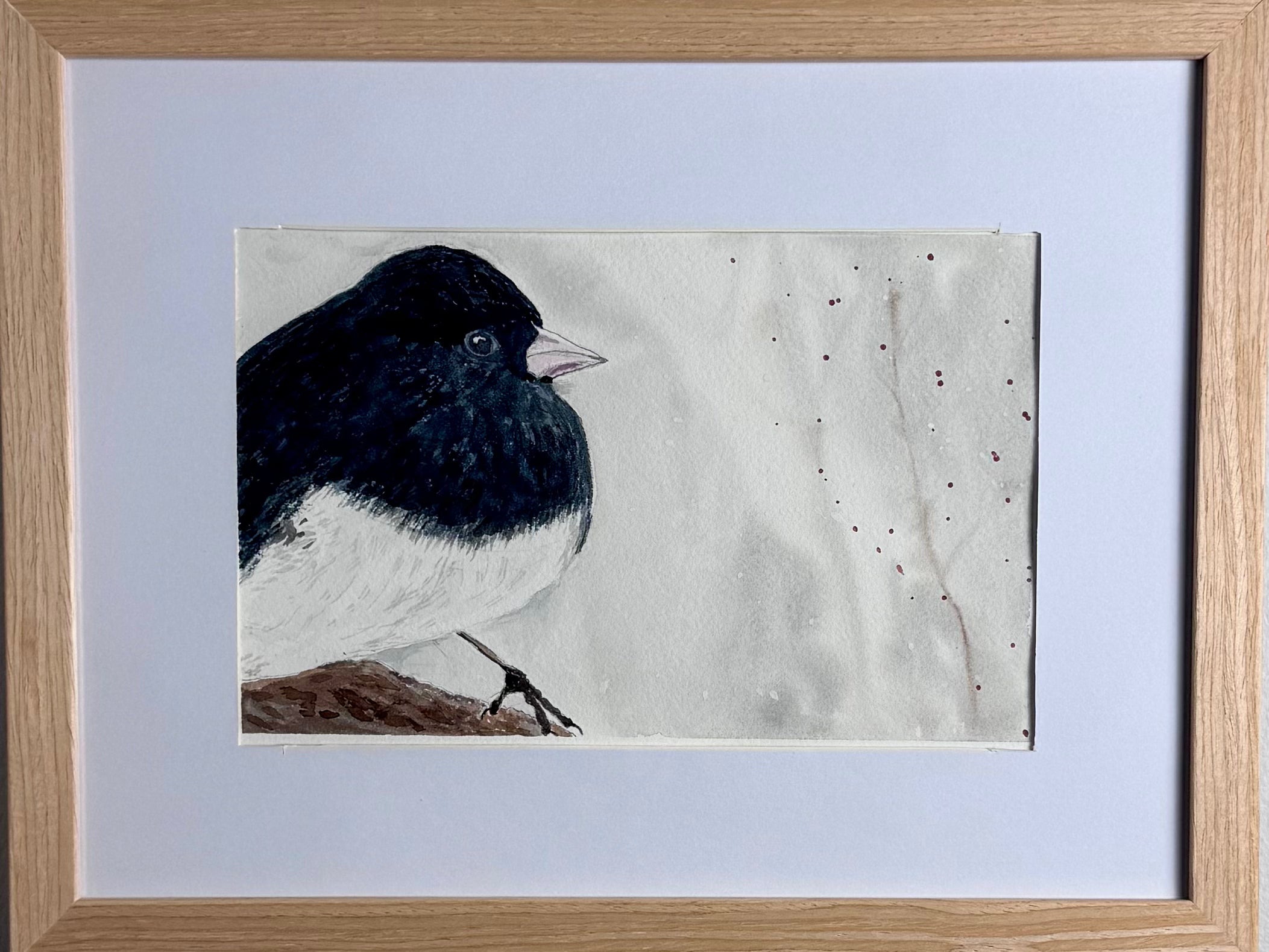 Junco - Framed Watercolour Art Print Poster